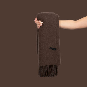 Meriino Pleed Pruun