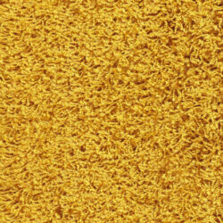 Spice yellow-sq